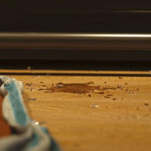 Evolution Zero Scene 5