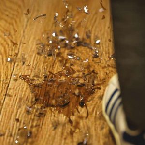 Evolution Zero Scene 6