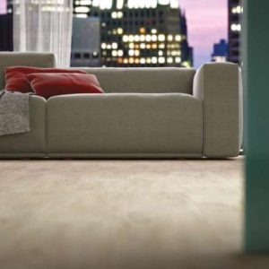 Evolution Zero Scene 8