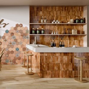 Mojave Scene – Cotto-Orange Brick 1